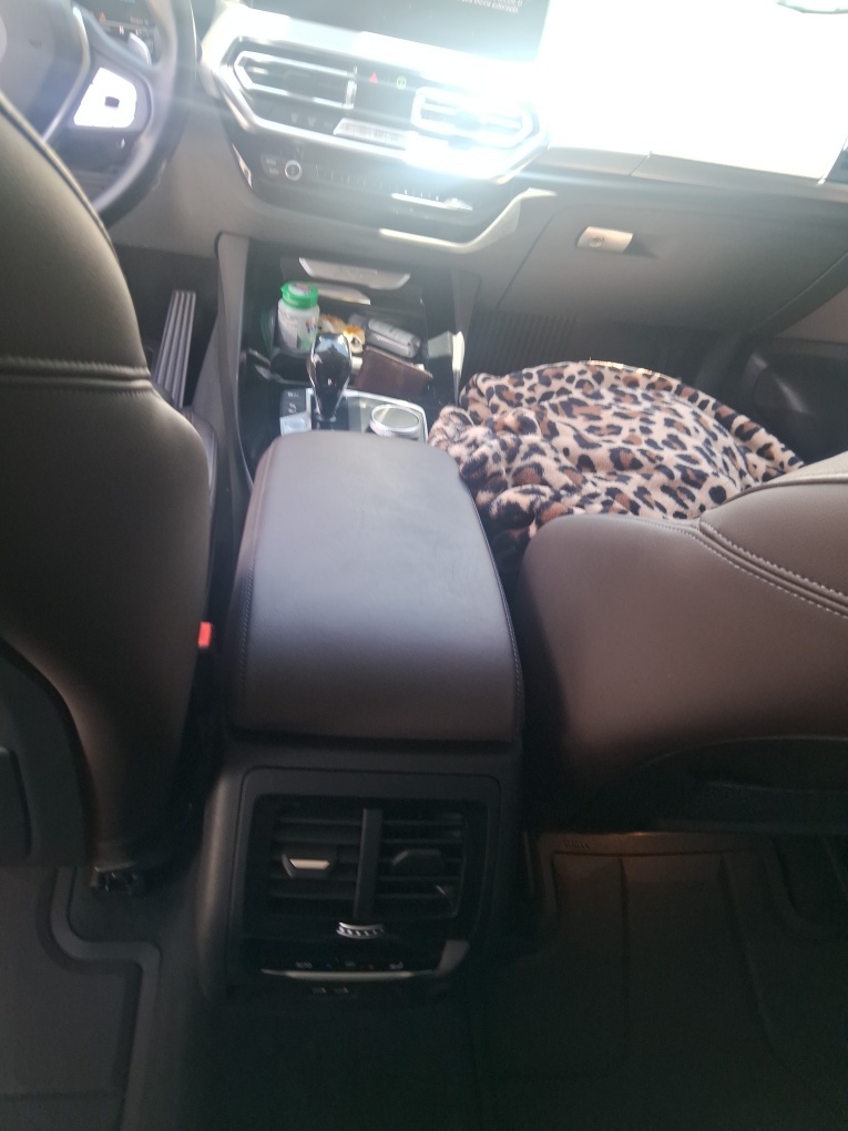 BMW X3 2.0 16V H&Iacute;BRIDO X LINE XDRIVE30E STEPTRONIC