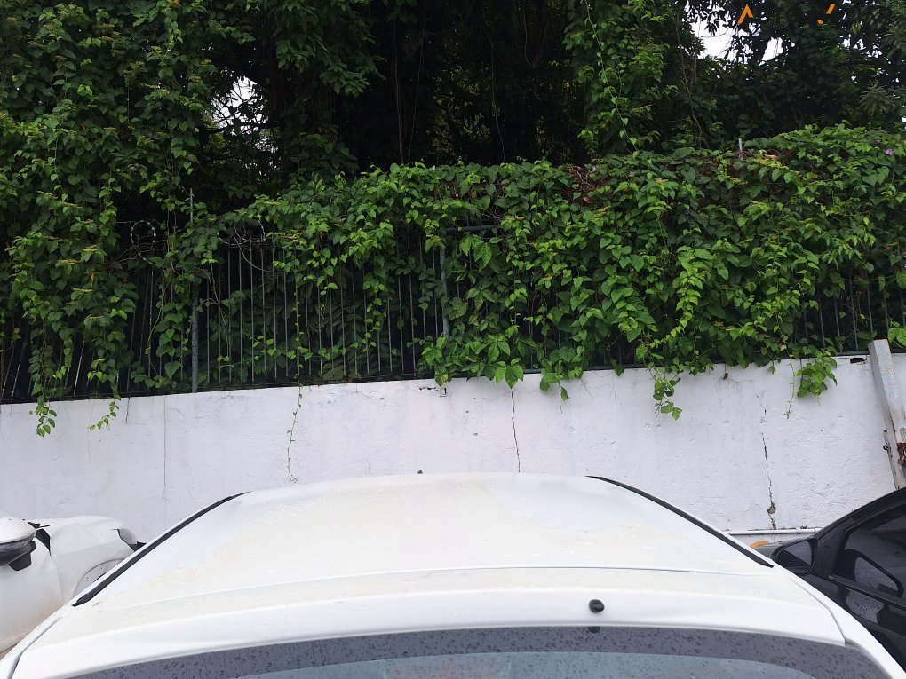 RENAULT SANDERO 1.6 PRIVILEGE 16V FLEX 4P AUTOMATICO