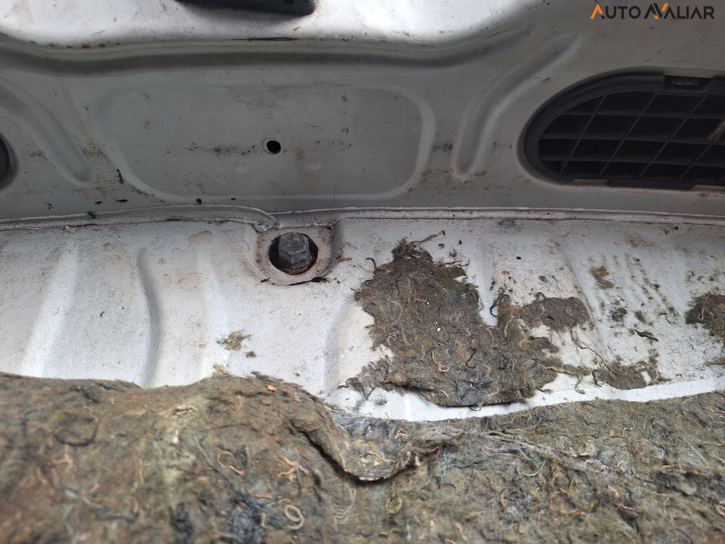 RENAULT SANDERO 1.6 PRIVILEGE 16V FLEX 4P AUTOMATICO