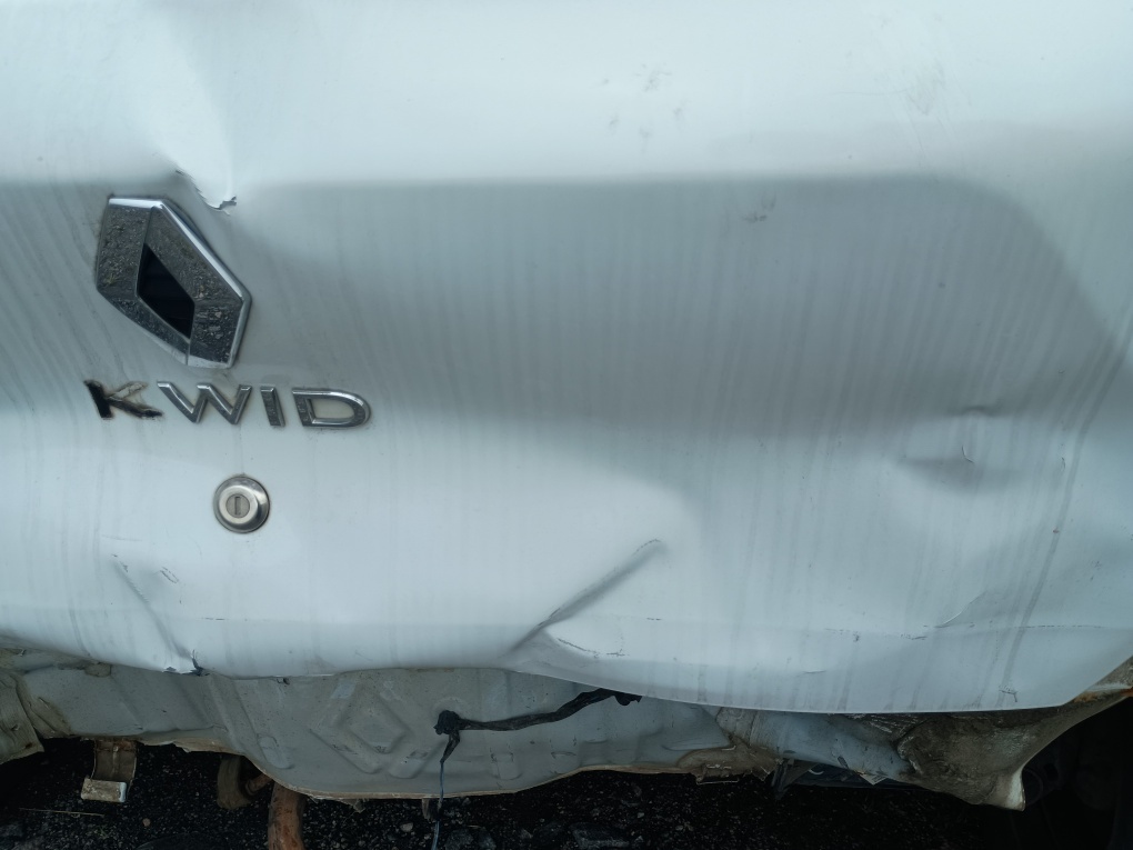 RENAULT KWID 1.0 12V SCE FLEX ZEN MANUAL