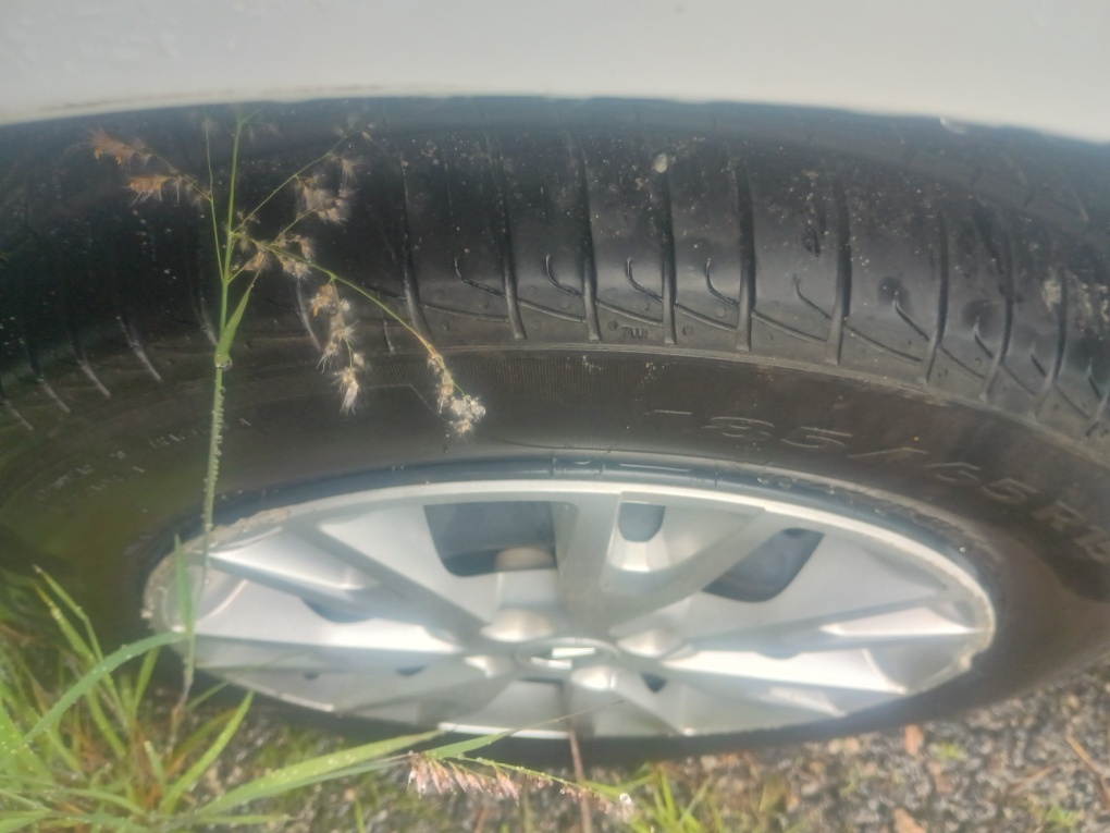 RENAULT LOGAN 1.0  12V SCE FLEX ZEN MANUAL