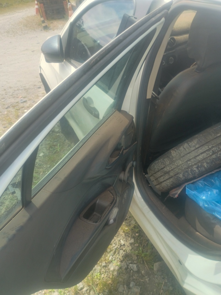 FIAT ARGO 1.0 FIREFLY FLEX FIAT ARGO 1.0 FIREFLY FLEX