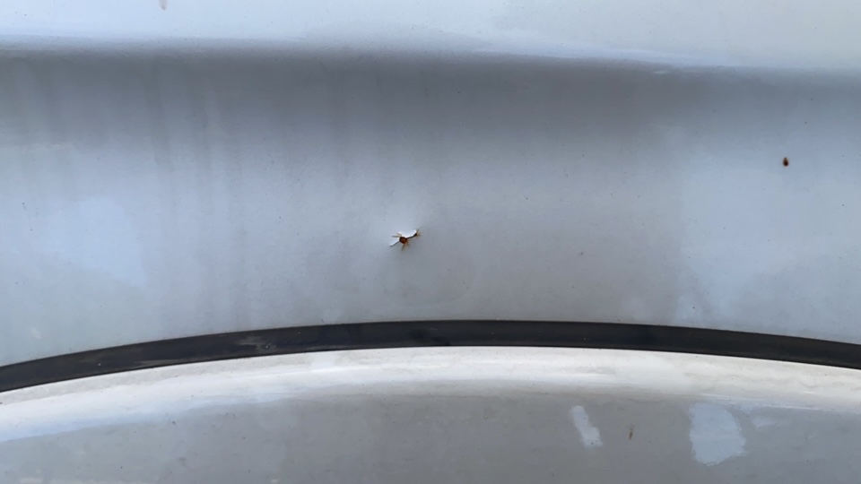 MITSUBISHI L200 Triton Sport GLS 2.4 CD Diesel Aut.