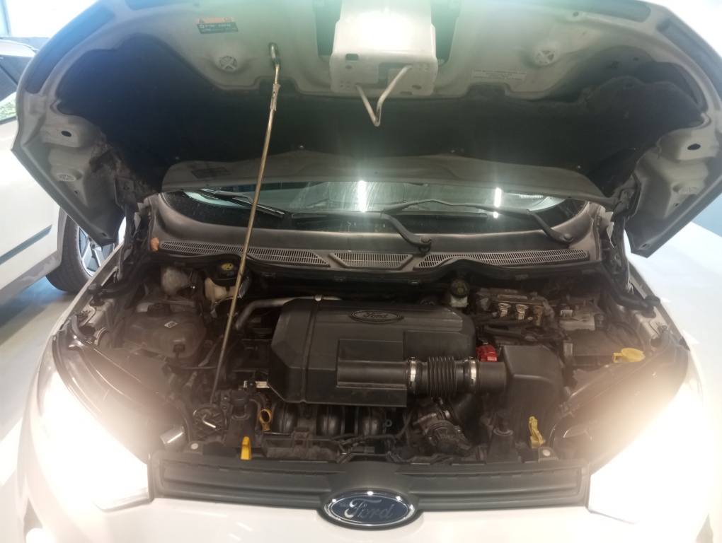 FORD ECOSPORT 2.0 TITANIUM 16V FLEX 4P AUTOMATICO