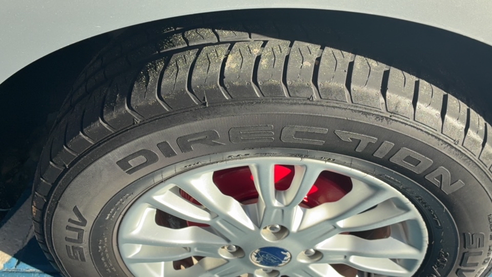 FORD ECOSPORT 1.6 SE 16V FLEX