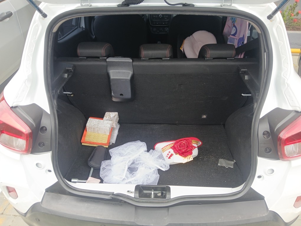 RENAULT KWID 1.0 12V SCE FLEX ZEN MANUAL