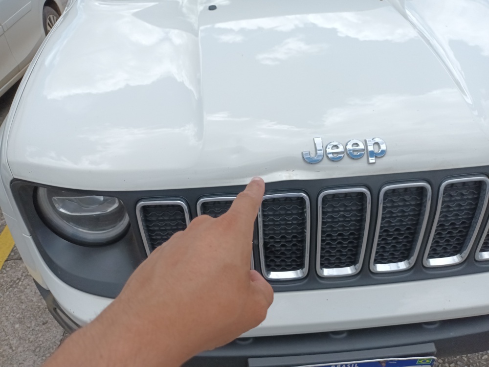 JEEP RENEGADE 1.8 16V FLEX LONGITUDE 4P AUTOMATICO