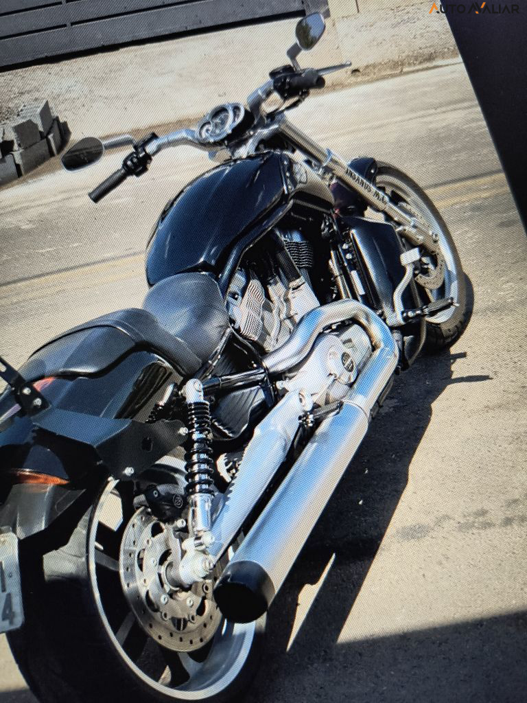 HARLEY-DAVIDSON V-ROD MUSCLE VRSCF