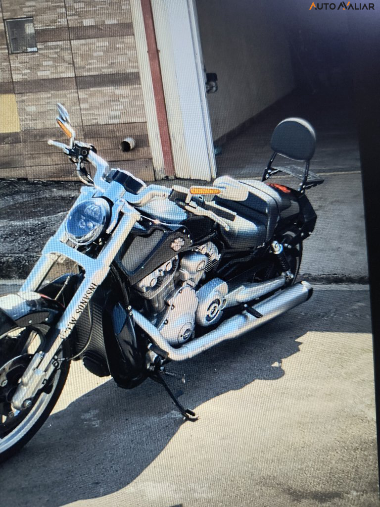 HARLEY-DAVIDSON V-ROD MUSCLE VRSCF