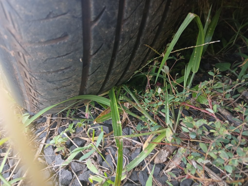 CITROEN C3 1.4 I GLX 8V FLEX 4P MANUAL