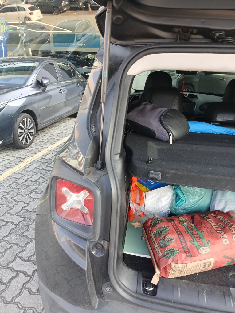 JEEP RENEGADE 1.8 16V FLEX SPORT 4P AUTOMATICO