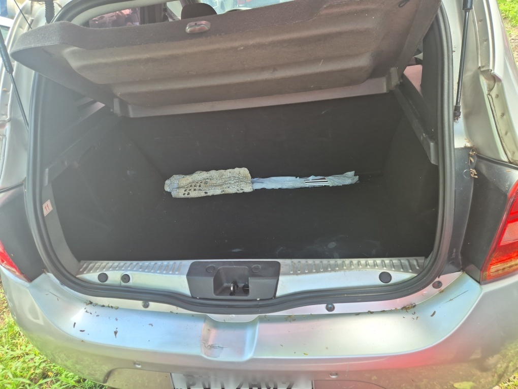 RENAULT SANDERO 1.0 AUTHENTIQUE 16V FLEX 4P MANUAL