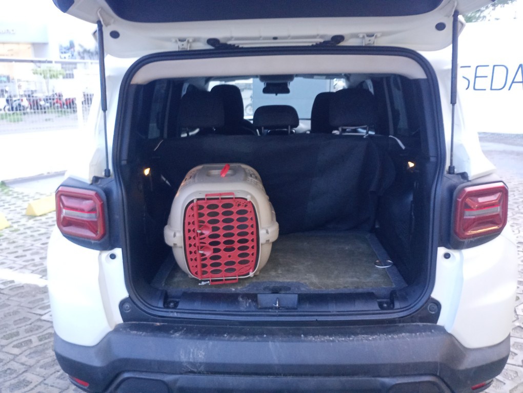 JEEP RENEGADE 1.3 TURBO AUTOMATICO