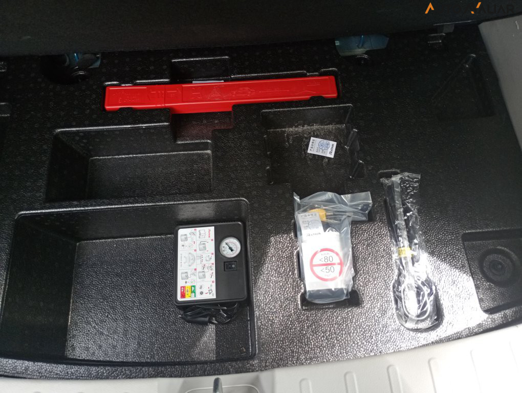 GWM ORA 03 48 KW EL&Eacute;TRICO SKIN