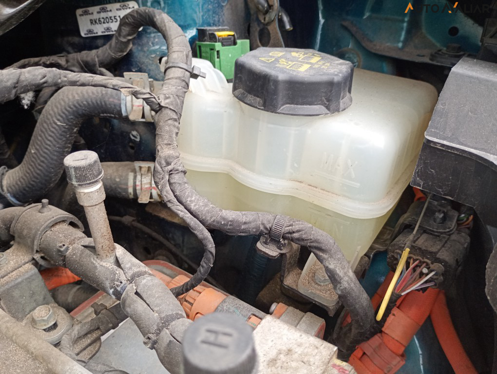 GWM ORA 03 48 KW EL&Eacute;TRICO SKIN