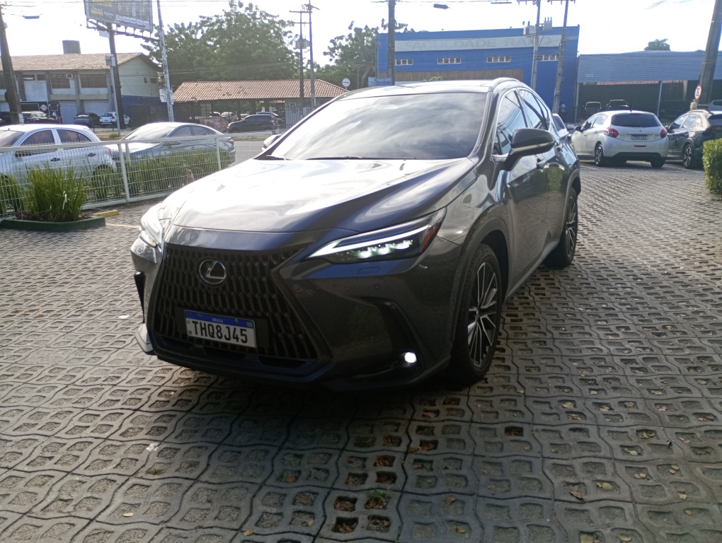 LEXUS NX-450H+ AWD 2.5 16V AUT. (H&Iacute;BRIDO)