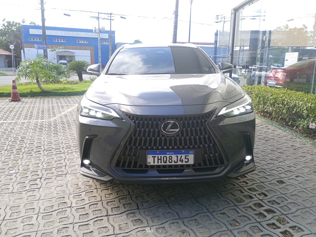 LEXUS NX-450H+ AWD 2.5 16V AUT. (H&Iacute;BRIDO)
