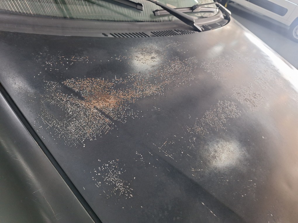 FIAT PALIO 1.0 MPI FIRE 8V FLEX 4P MANUAL