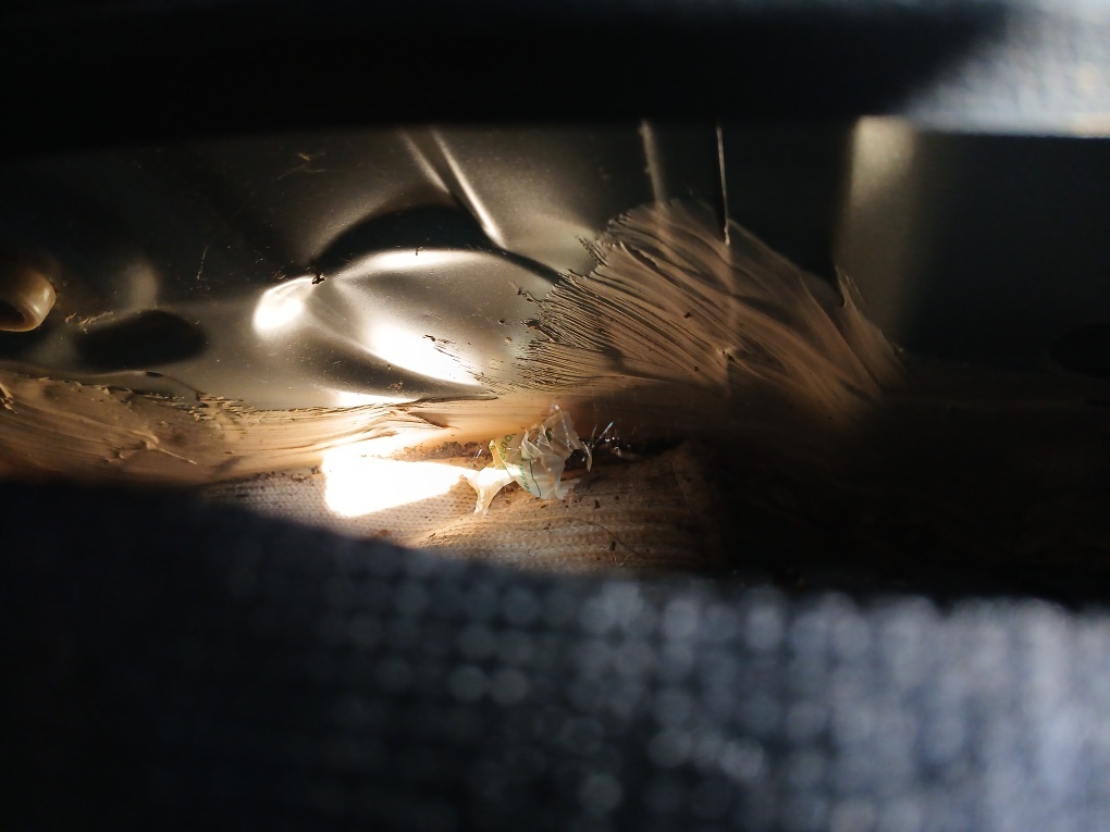 HONDA FIT 1.5 EXL 16V FLEX 4P AUTOMATICO