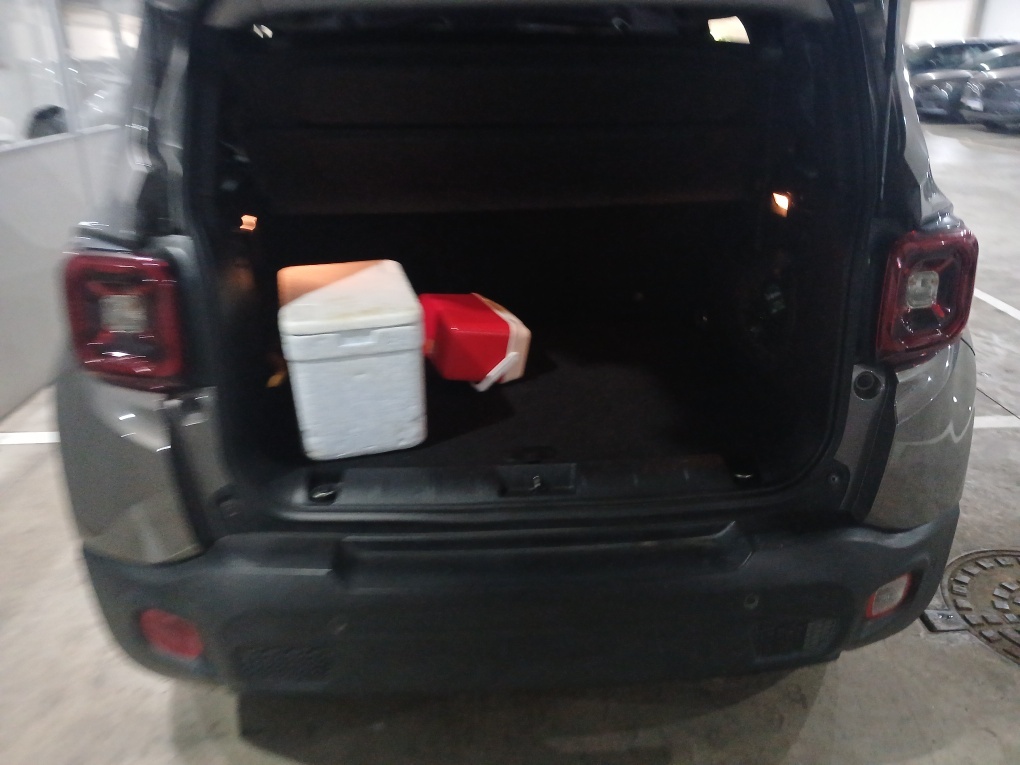 JEEP RENEGADE 1.8 16V FLEX LONGITUDE 4P AUTOMATICO