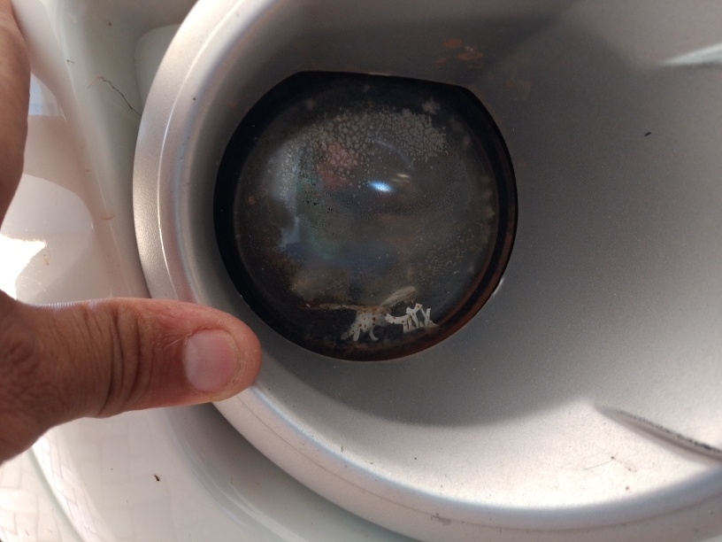 FORD RANGER 2.5 XLT 4X2 CD 16V FLEX 4P MANUAL