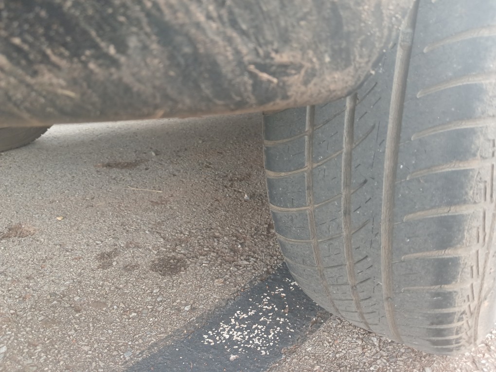 FIAT PALIO 1.0 MPI FIRE ECONOMY 8V FLEX 4P MANUAL