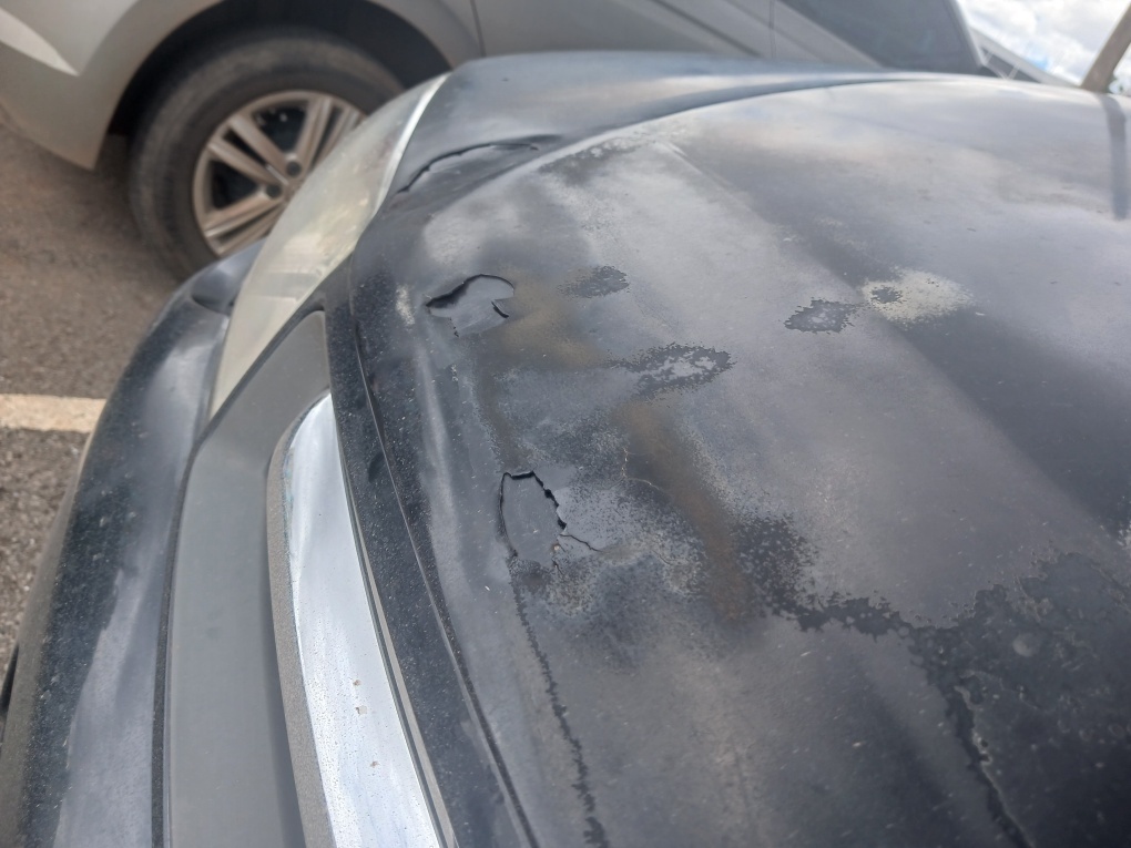 FIAT PALIO 1.0 MPI FIRE ECONOMY 8V FLEX 4P MANUAL