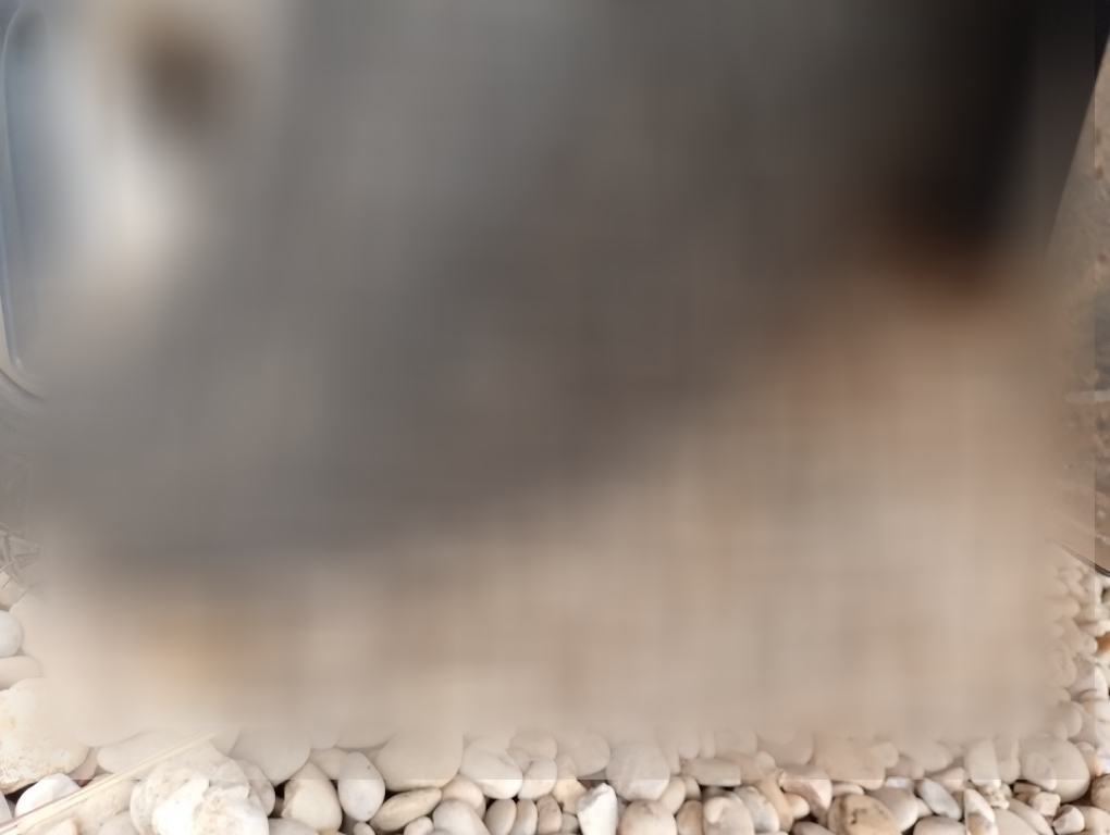 JEEP COMPASS 2.0 16V DIESEL TRAILHAWK 4X4 AUTOMATICO