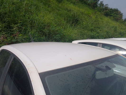 VOLKSWAGEN POLO 1.0 170 TSI MANUAL