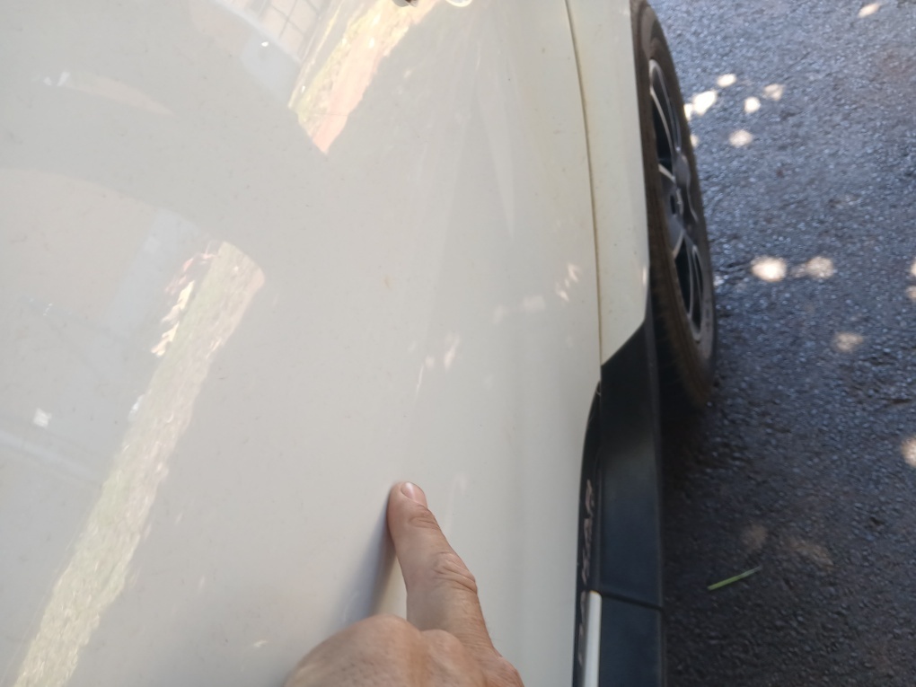 RENAULT DUSTER 1.6 DAKAR 4X2 16V FLEX 4P MANUAL