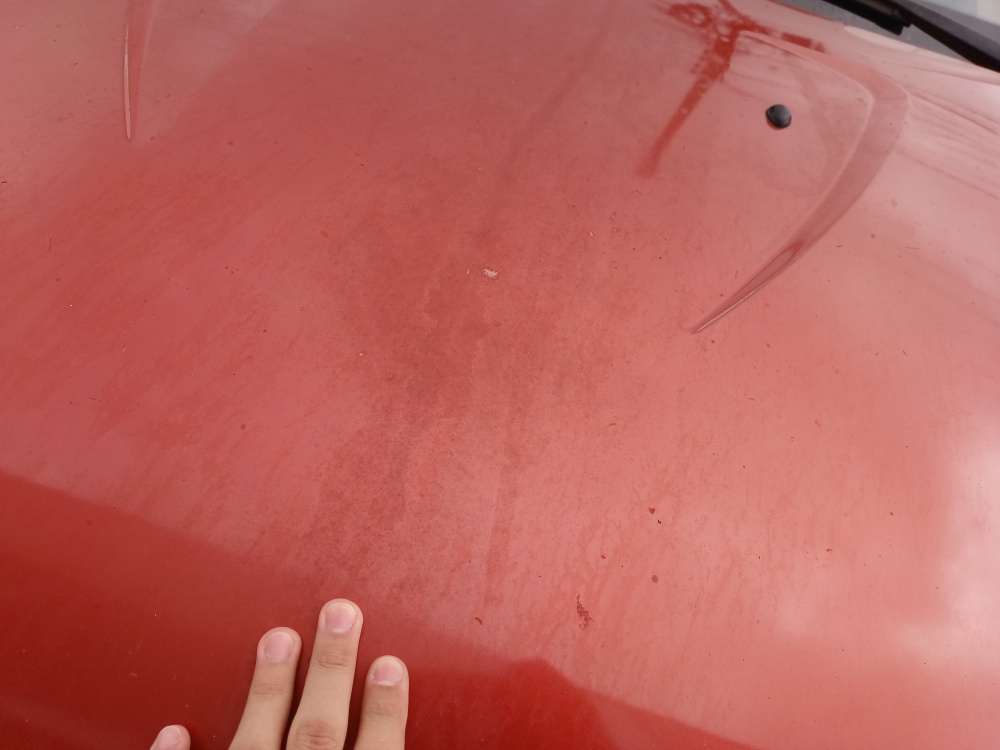 RENAULT SANDERO 1.6 STEPWAY 16V FLEX 4P MANUAL