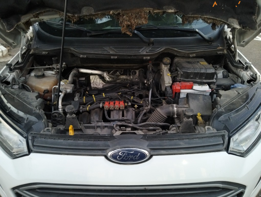 FORD ECOSPORT 1.6 FREESTYLE PLUS 16V FLEX 4P POWERSHIFT