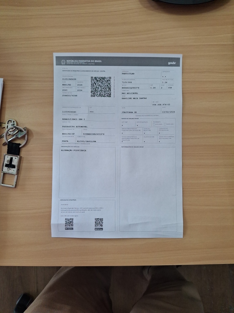 RENAULT KWID 1.0 12V SCE FLEX ZEN MANUAL