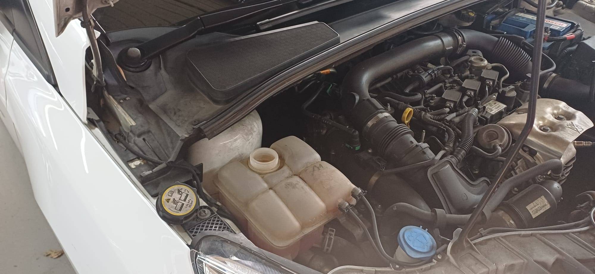 FORD FOCUS TREND+ (5P; 88KW; 120CV; CX. M; 5/2015 a 5/2018)