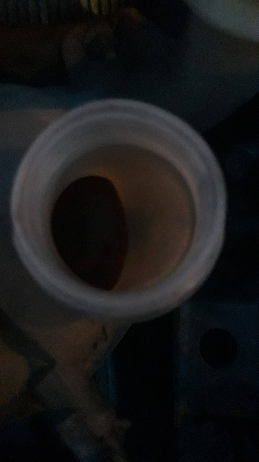 CITROEN C3 COLLECTION (5P; 50KW; 70CV; CX. M; 5/2006 a 12/2007)