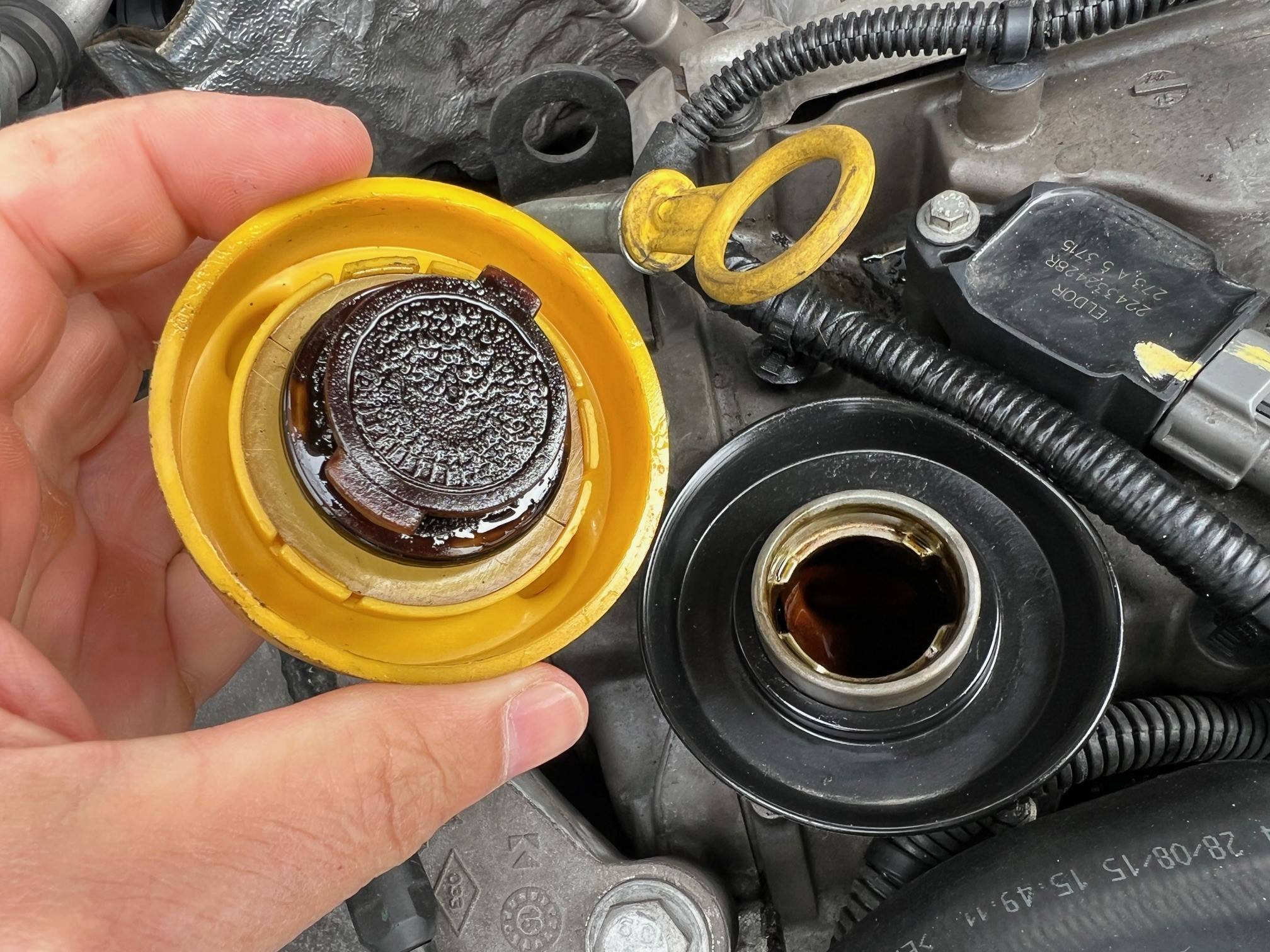 DACIA SANDERO STEPWAY (5P; 66KW; 90CV; CX. M; 5/2015 a 10/2016)