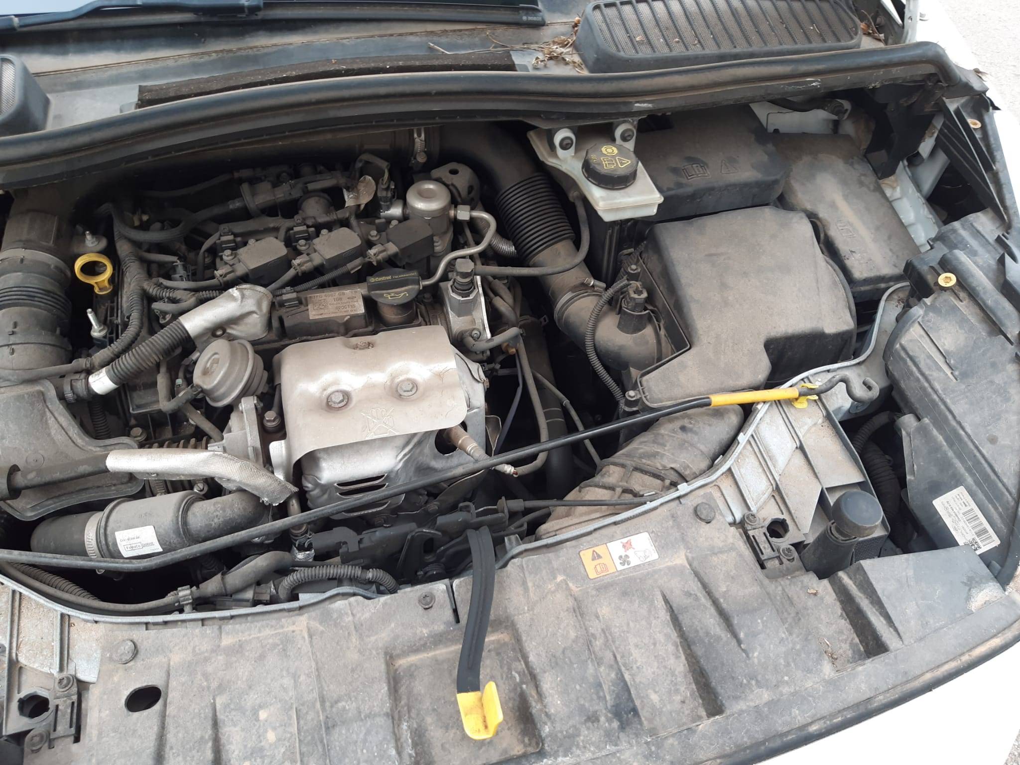 FORD C-MAX TREND+ (5P; 92KW; 125CV; CX. M; 5/2015 a 2/2018)