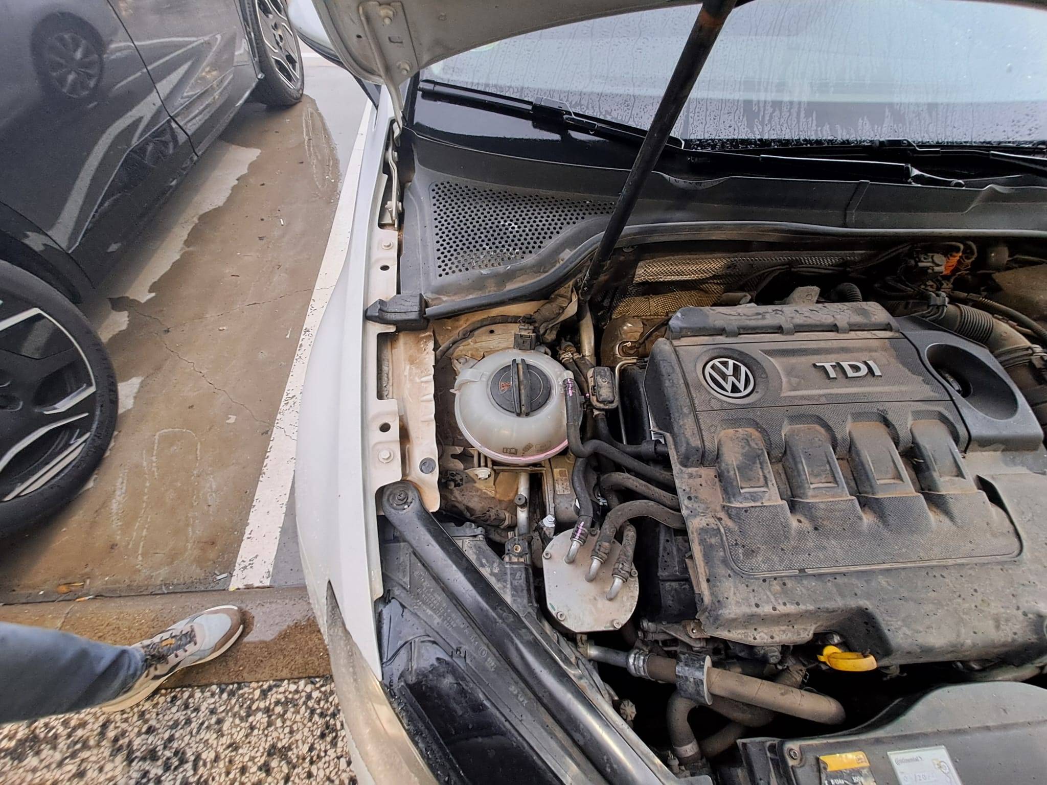 VOLKSWAGEN GOLF VII VARIANT DIESEL SPORT (5P; 110KW; 150CV; CX. M; 7/2013 A 1/2017)