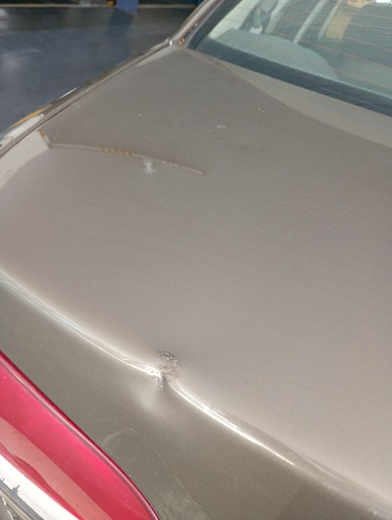 FIAT SIENA 1.0 MPI EL 8V FLEX 4P MANUAL