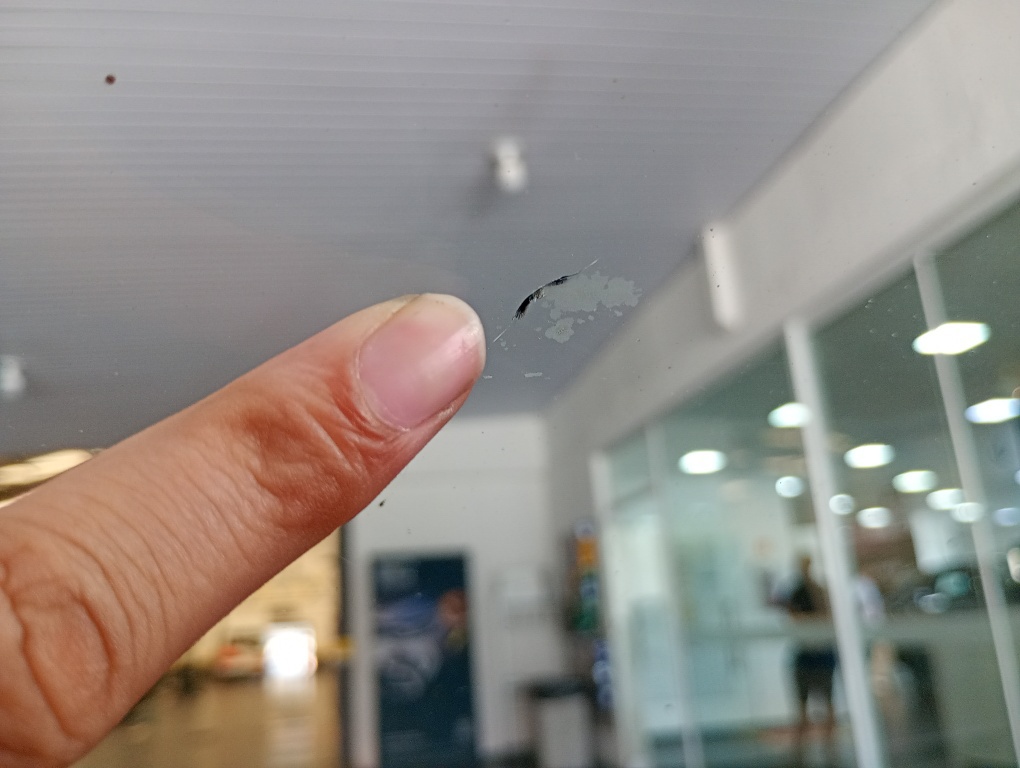 FIAT SIENA 1.0 MPI EL 8V FLEX 4P MANUAL