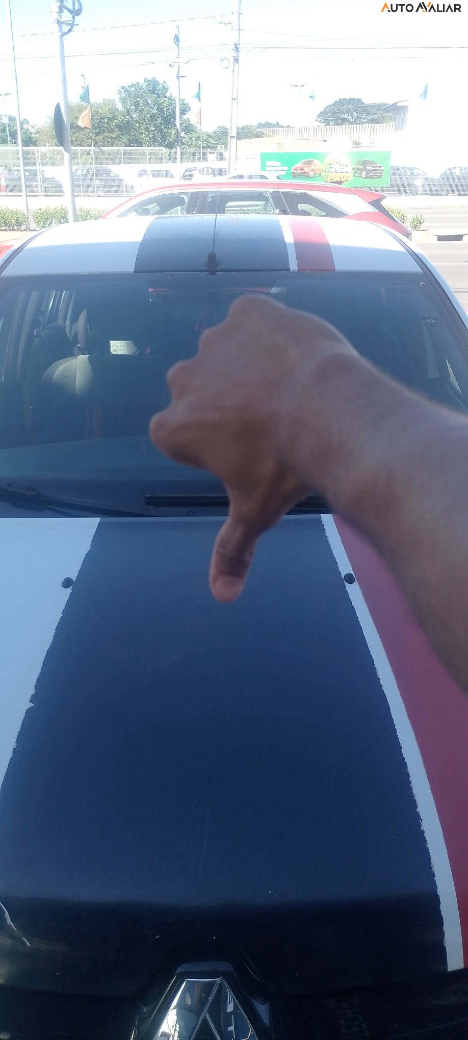 RENAULT SANDERO 2.0 16V HI-FLEX RS MANUAL