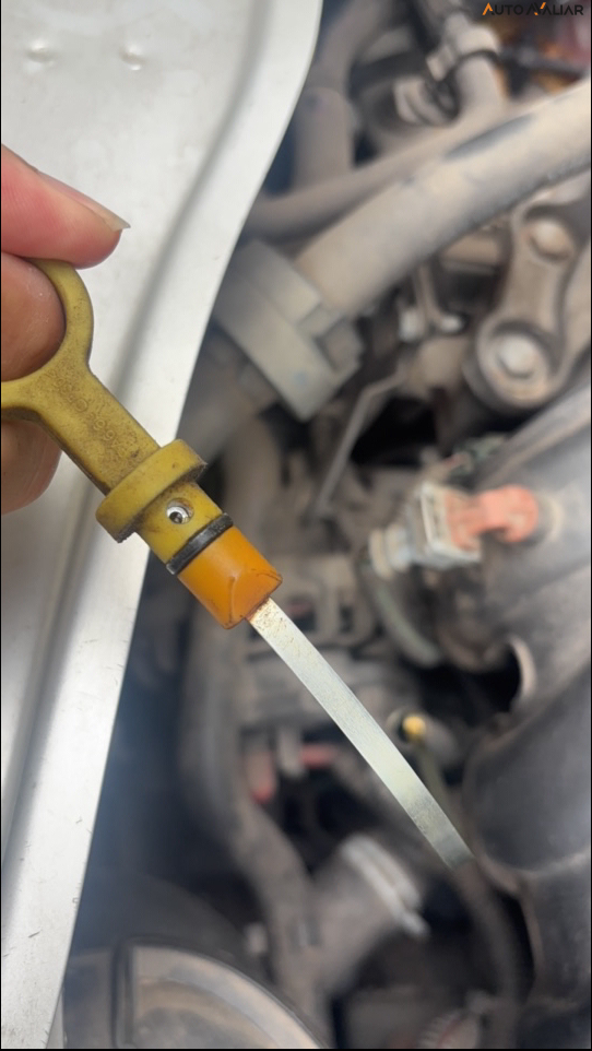 RENAULT DUSTER 1.6 16V SCE FLEX EXPRESSION X-TRONIC