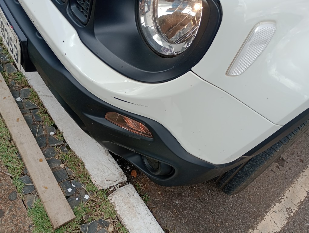 JEEP RENEGADE 1.8 16V FLEX SPORT 4P MANUAL