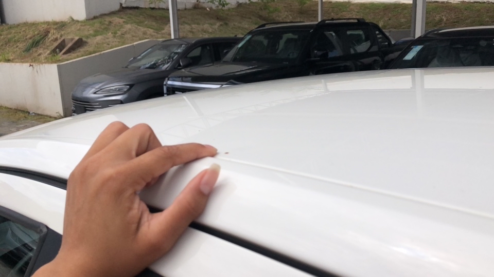 VOLKSWAGEN FOX 1.6 MI ROCK IN RIO 8V FLEX 4P MANUAL