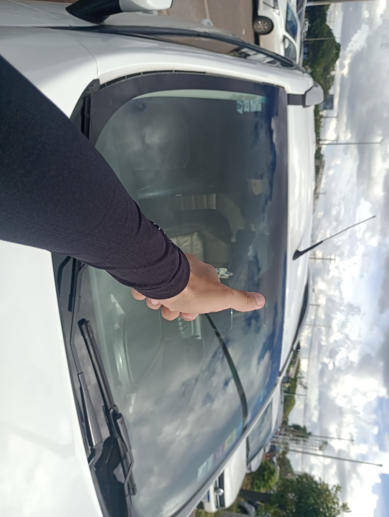 FORD ECOSPORT 2.0 TITANIUM 16V FLEX 4P AUTOMATICO