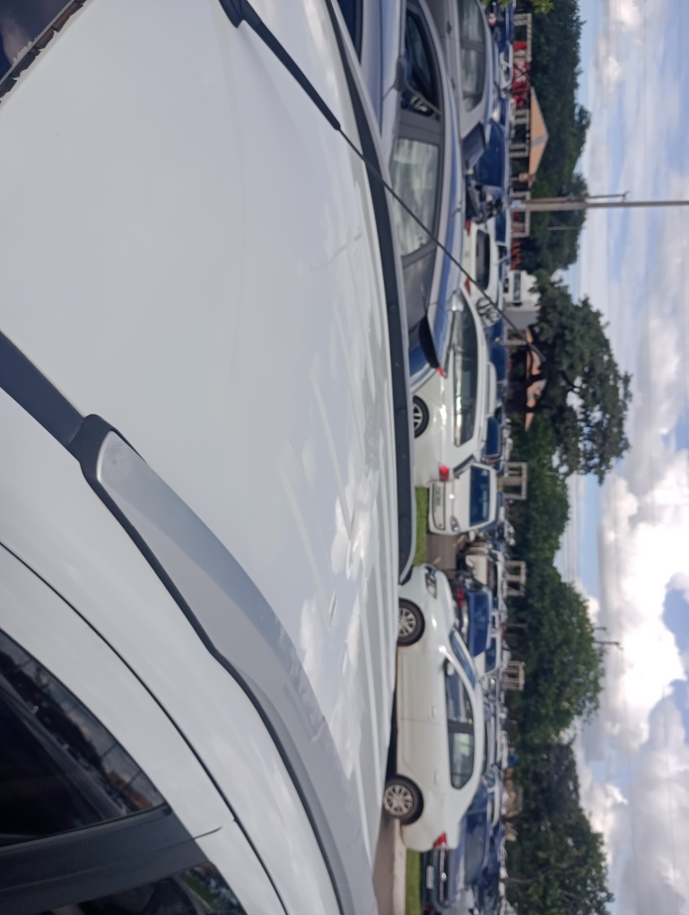 FORD ECOSPORT 2.0 TITANIUM 16V FLEX 4P AUTOMATICO