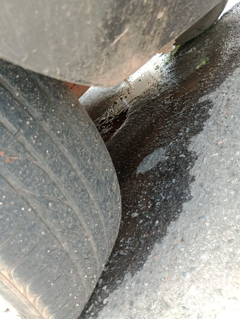 RENAULT SANDERO 1.6 DYNAMIQUE 8V FLEX 4P MANUAL