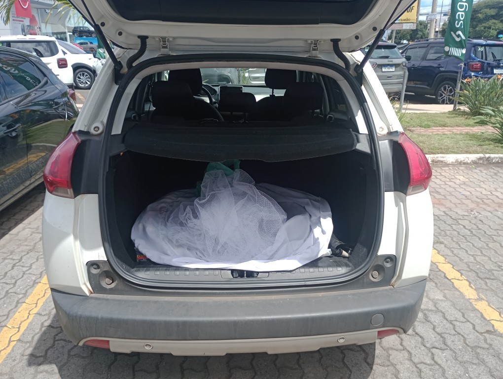 PEUGEOT 2008 1.6 16V FLEX ALLURE 4P AUTOMATICO