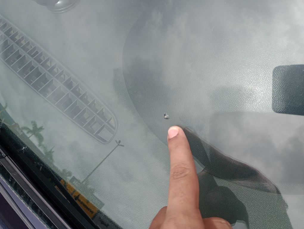 RENAULT LOGAN 1.6 EXPRESSION 8V FLEX 4P MANUAL