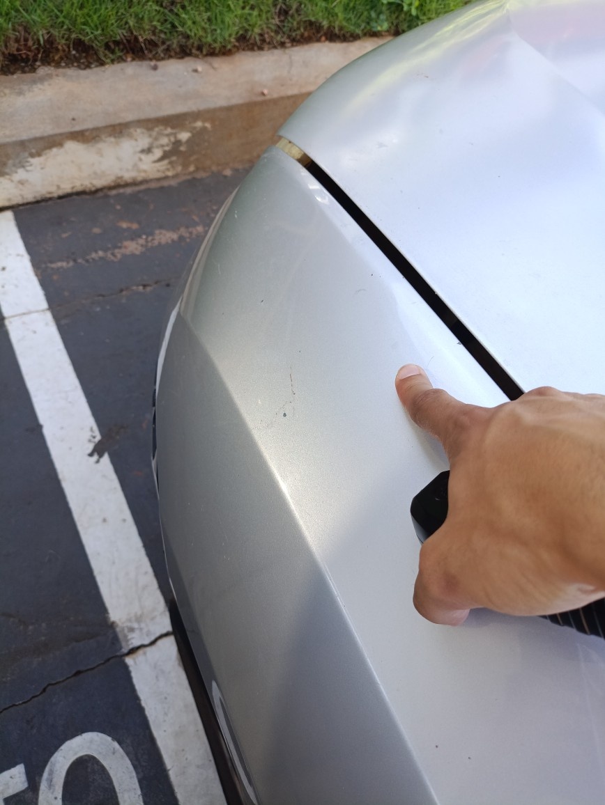 RENAULT DUSTER 1.6 DYNAMIQUE 4X2 16V FLEX 4P MANUAL